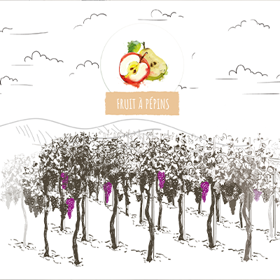 Habillage Primeur